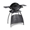 Weber Gasgrill Q 1200 Mit Stand, Ca. B104/H120/T60 Cm -Garten im Freien 4073227 WE FS 001 GasgrillQ1200MitStand