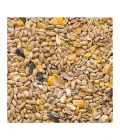 My Little Farm Bio Hennenkorn -Garten im Freien 4078291 WE D 001 MylittleFarmHennenkorn2kg