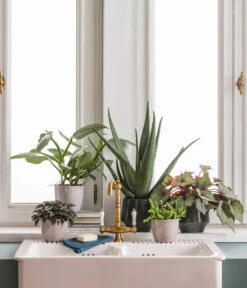 Dehner Keramik-Übertopf Lina, Rund -Garten im Freien 4099883 4100160 410035 4106043 4106100 4106142 WE MO 002 TopfElsa Lina