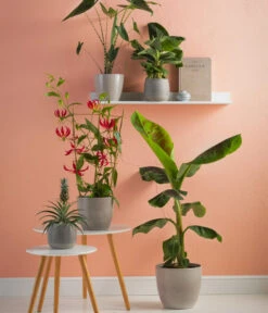 Dehner Keramik-Übertopf Lina, Rund -Garten im Freien 4106035 4106043 4106100 4106142 4106183 4106316 4106357 4106373 4106399 WE MO 003 TopfElkeLina