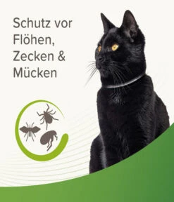 Beaphar Zecken- Und Flohschutzband Für Katzen, 35 Cm -Garten im Freien 4142816 WE DE 002 BeaKZbhZeckenFlohschutzHalsbandReflektierend