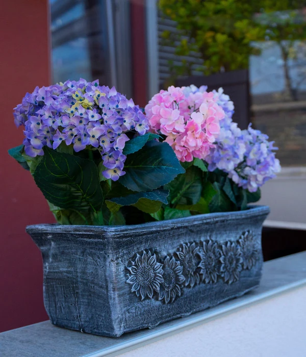 Roto Kunststoff-Pflanzkasten Planika, Rechteckig, Dunkelgrau, Ca. B49,5/H18,5/T20,5 Cm 4 Roto Kunststoff-Pflanzkasten Planika, Rechteckig, Dunkelgrau, Ca. B49,5/H18,5/T20,5 Cm – Bild 2