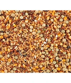 Dehner Rassetauben-Futter 5 Dehner Rassetauben-Futter -Garten im Freien 415000 BildD 001 DehnerRassetaubenfutterRassetaubenfutter1Kg