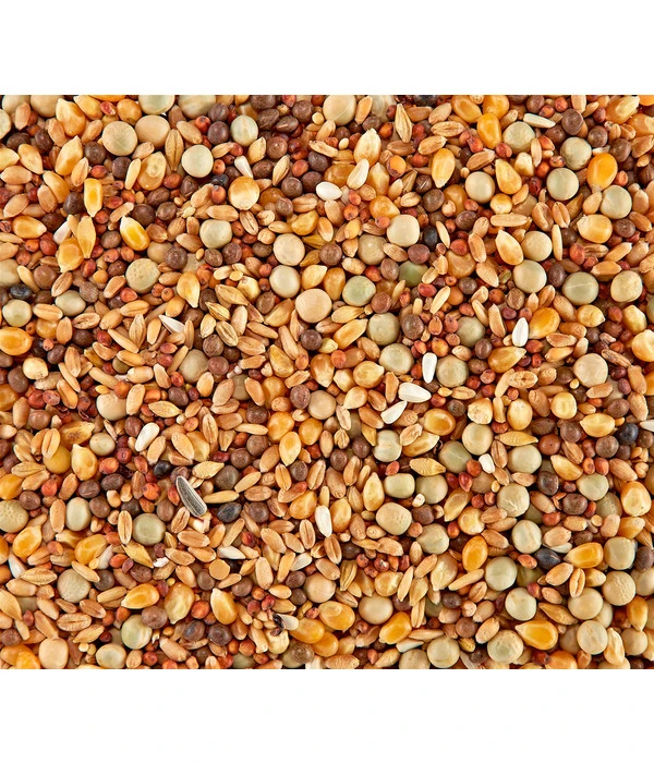 Dehner Rassetauben-Futter 4 Dehner Rassetauben-Futter – Bild 2