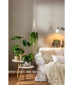 Dehner Makramee-Ampel -Garten im Freien 4152484 PR MO 001 TopfFreshBraunGrau 4408951 4408977 4408985 4409132