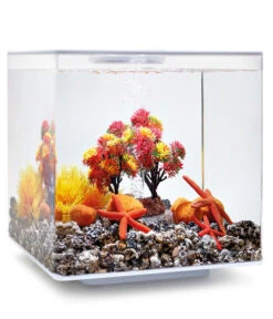 BiOrb® Aquariumdeko Decor Set 15 L Herbst -Garten im Freien 4163838 WE M 002 BiOrbAquariumdekoDecorSet15LHerbst