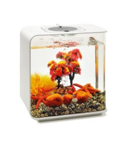 BiOrb® Aquariumdeko Decor Set 15 L Herbst -Garten im Freien 4163838 WE M 003 BiOrbAquariumdekoDecorSet15LHerbst