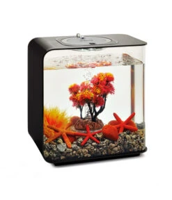 BiOrb® Aquariumdeko Decor Set 15 L Herbst -Garten im Freien 4163838 WE M 004 BiOrbAquariumdekoDecorSet15LHerbst