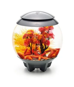 BiOrb® Aquariumdeko Decor Set 15 L Herbst -Garten im Freien 4163838 WE M 005 BiOrbAquariumdekoDecorSet15LHerbst