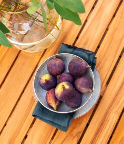 Dehner Aluminium-Lounge Malibu, 2-teilig -Garten im Freien 4209870 WE DE 006 LoungeMalibuNEU