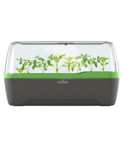 Romberg BoQube Gewächshaus 15 Romberg BoQube Gewächshaus -Garten im Freien 4299970 WE FS 005 RombergGewaechshausZimmergewaechshausAnzucht