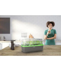 Romberg BoQube Gewächshaus 17 Romberg BoQube Gewächshaus -Garten im Freien 4299970 WE MO 001 RombergGewaechshausZimmergewaechshausAnzucht