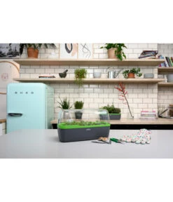 Romberg BoQube Gewächshaus 18 Romberg BoQube Gewächshaus -Garten im Freien 4299970 WE MO 002 BoQubeGewaechshausZimmergewaechshaus