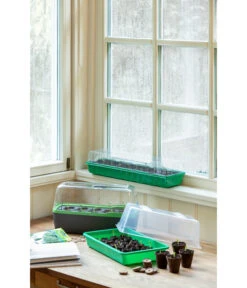 Romberg BoQube Gewächshaus 19 Romberg BoQube Gewächshaus -Garten im Freien 4299970 WE MO 004 BoQubeZimmergewaechshaus 1