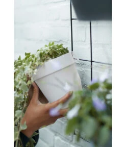 Elho Metall-Wandgitter Für Töpfe Loft Urban Green Wall Gestell, Ca. B47,3/H59/T1,5 Cm, Schwarz -Garten im Freien 4315917 4315677 WE MO 002 elhoMetallWandgitterWandhaengetopf