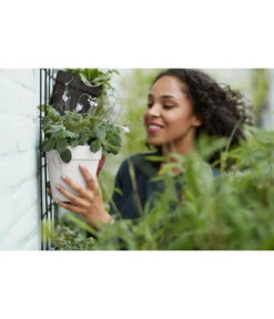 Elho Metall-Wandgitter Für Töpfe Loft Urban Green Wall Gestell, Ca. B47,3/H59/T1,5 Cm, Schwarz -Garten im Freien 4315917 4315677 WE MO 008 elhoMetallWandgitterWandhaengetopf