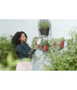 Elho Metall-Wandgitter Für Töpfe Loft Urban Green Wall Gestell, Ca. B47,3/H59/T1,5 Cm, Schwarz -Garten im Freien 4315917 WE MO 003 elhoMetallWandgitterfuerToepfeBlumentopfurbangardening