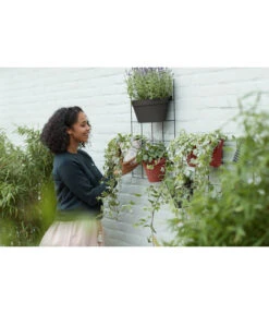 Elho Metall-Wandgitter Für Töpfe Loft Urban Green Wall Gestell, Ca. B47,3/H59/T1,5 Cm, Schwarz -Garten im Freien 4315917 WE MO 004 elhoMetallWandgitterfuerToepfeBlumentopfurbangardening