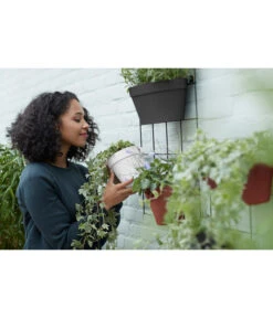 Elho Metall-Wandgitter Für Töpfe Loft Urban Green Wall Gestell, Ca. B47,3/H59/T1,5 Cm, Schwarz -Garten im Freien 4315917 WE MO 005 elhoMetallWandgitterfuerToepfeBlumentopfurbangardening