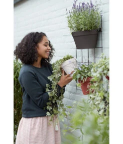 Elho Metall-Wandgitter Für Töpfe Loft Urban Green Wall Gestell, Ca. B47,3/H59/T1,5 Cm, Schwarz -Garten im Freien 4315917 WE MO 006 elhoMetallWandgitterfuerToepfeBlumentopfurbangardening