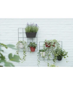 Elho Metall-Wandgitter Für Töpfe Loft Urban Green Wall Gestell, Ca. B47,3/H59/T1,5 Cm, Schwarz -Garten im Freien 4315917 WE MO 007 elhoMetallWandgitterfuerToepfeBlumentopfurbangardening