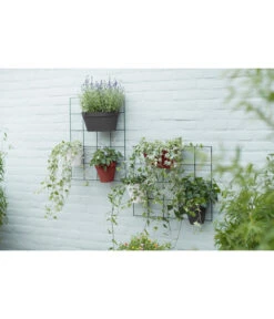 Elho Metall-Wandgitter Für Töpfe Loft Urban Green Wall Gestell, Ca. B47,3/H59/T1,5 Cm, Schwarz -Garten im Freien 4315917 WE MO 009 elhoMetallWandgitterfuerToepfeBlumentopfurbangardening