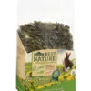 Dehner Best Nature Zwergkaninchenfutter Pellets, 3 Kg 1 Dehner Best Nature Zwergkaninchenfutter Pellets, 3 Kg -Garten im Freien 4398327 WE FS 001 DehnerBestNatureNagerfutterZwergkaninchenPellets3kg