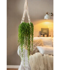 Dehner Makramee-Ampel -Garten im Freien 4409132 PR MO 003 AmpelnFreshMakramee