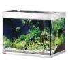 EHEIM Aquarium ProximaTEC 175 -Garten im Freien 4428967 WE FS 001 EheimAquariumAQSetProximaTec175