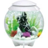 BiOrb® Aquarium HALO 30 LED 1 BiOrb® Aquarium HALO 30 LED -Garten im Freien 4431425 WE FS 001 BiOrbEinzelaquariumHalo30LED