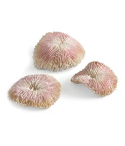 BiOrb® Aquariumdeko Plattenkorallen Set