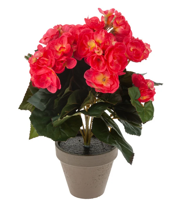 Kunstpflanze Begonie 3 Kunstpflanze Begonie