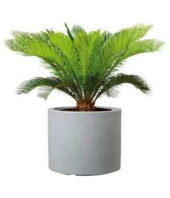 Scheurich Kunststoff-Topf Riva, Rund -Garten im Freien 4498838 WE FS 002 ScheurichKunststoffTopfRivarund