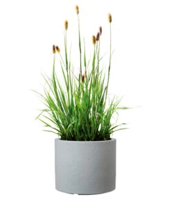 Scheurich Kunststoff-Topf Riva, Rund -Garten im Freien 4498838 WE FS 003 ScheurichKunststoffTopfRivarund