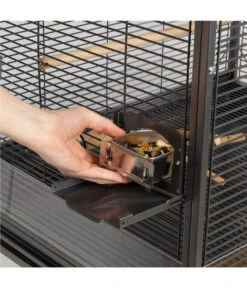 Montana Vogelvoliere Madeira III, Antik -Garten im Freien 5187430 WE D 004 PPVoliereMadeiraIIIAntik