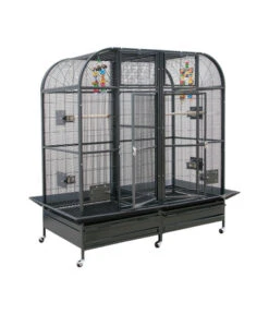 Montana Vogelvoliere Palace II, Antik