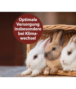 Quiko® Vitacombex® Na Multivitaminsaft Für Nager, 125 Ml 8 Quiko® Vitacombex® Na Multivitaminsaft Für Nager, 125 Ml -Garten im Freien 5198106 WE MO 002 QuikoVFVitacombexNa125ml