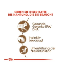 ROYAL CANIN® Nassfutter Für Katzen Ageing 12+, 12 X 85 G -Garten im Freien 5459516 WE DE 002 RCKNFAgeing12plus 12x85g
