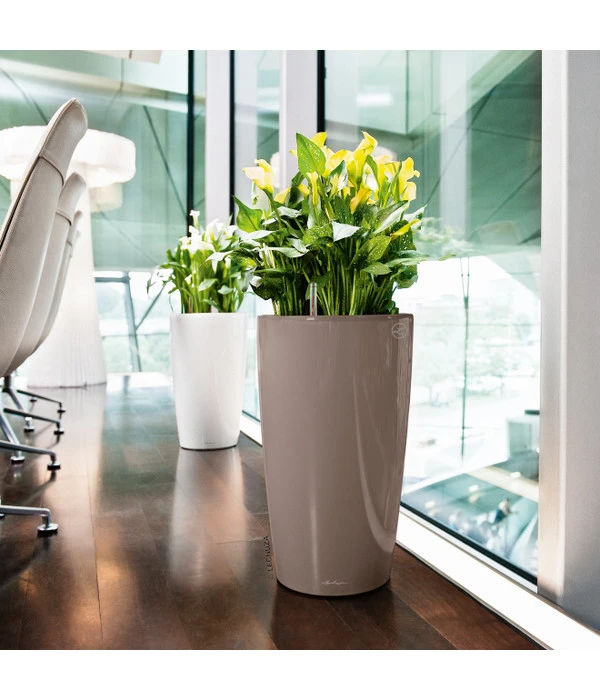 LECHUZA® RONDO, All-in-One-Set 5 LECHUZA® RONDO, All-in-One-Set – Bild 3