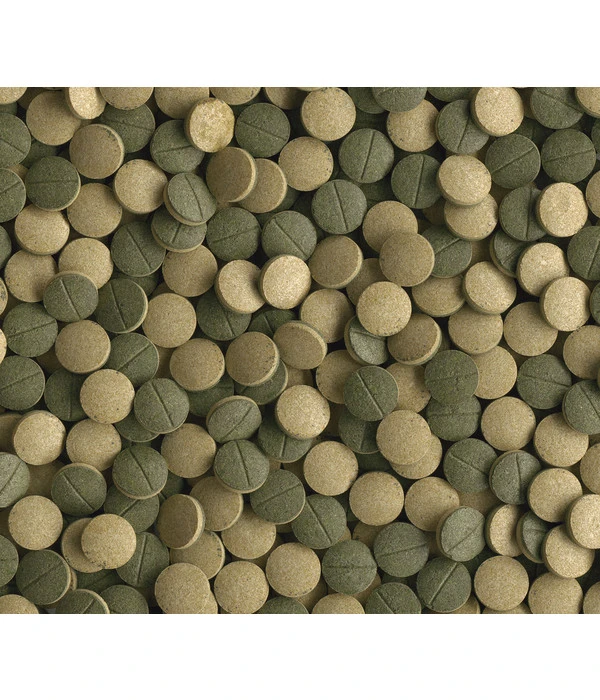 Fischfutter Tetra Pleco Tablets 4 Fischfutter Tetra Pleco Tablets – Bild 2