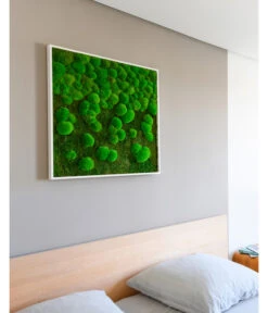 StyleGREEN Bild Aus Wald- Und Kugelmoos Im Verlauf, Ca. B80/H80/T7 Cm 9 StyleGREEN Bild Aus Wald- Und Kugelmoos Im Verlauf, Ca. B80/H80/T7 Cm -Garten im Freien 6429807 WE MO 002 Wald KugelmoosbildVerlauf80x80cm