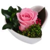 Dehner Herzschale Mit Longlife-Rose Aneta, Rosa, Ca. B7/H5 Cm 2 Dehner Herzschale Mit Longlife-Rose Aneta, Rosa, Ca. B7/H5 Cm -Garten im Freien 6537641 WE FS 002 LL HerzAnetaROSA