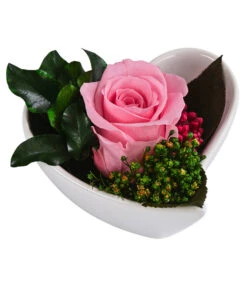 Dehner Herzschale Mit Longlife-Rose Aneta, Rosa, Ca. B7/H5 Cm