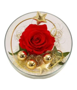 Longlife-Rose, Ca. Ø3 Cm -Garten im Freien 6592539 WE FS 001 LongLifeRoseRotinGlaskugel