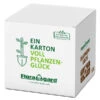 Floragard Blumenerde Box, 60 L -Garten im Freien 6624183 WE FS 001 FloragardBlumenerdeBox60l