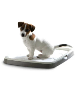 SAVIC Hundetoilette Puppy Trainer Starter Kit -Garten im Freien 6627798 WE MO 002 SavicPuppyTrainerStarterKitMedium