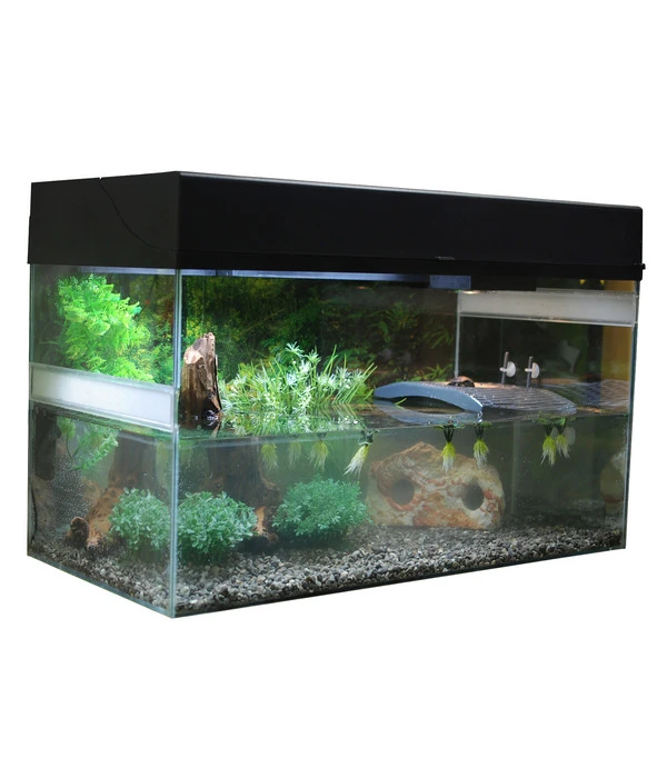 Lucky Reptile Starter Kit Komplettset Wasserschildkröte, Ca. B80/H52/T40 Cm 3 Lucky Reptile Starter Kit Komplettset Wasserschildkröte, Ca. B80/H52/T40 Cm