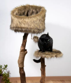 Dobar Petlife Design-Katzenmöbel Sunny, Ca. B50/H109/T40 Cm 11 Dobar Petlife Design-Katzenmöbel Sunny, Ca. B50/H109/T40 Cm -Garten im Freien 6689772 WE MO 002 DobarKatzenKratzbaumSunny