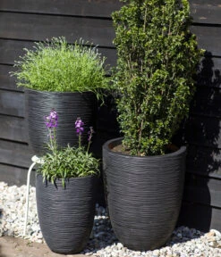 Capi Europe Kunststoff-Topf Rib Hoch, Rund 6 Capi Europe Kunststoff-Topf Rib Hoch, Rund -Garten im Freien 6697304 WE MO 001 CapiEuropeKunststoffTopfRibrund