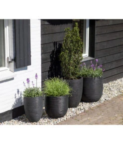 Capi Europe Kunststoff-Topf Rib Hoch, Rund 7 Capi Europe Kunststoff-Topf Rib Hoch, Rund -Garten im Freien 6697304 WE MO 002 CapiEuropeKunststoffTopfRibrund